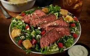 Parmesan Crusted Spinach Dip - Longhorn Appetizers Menu